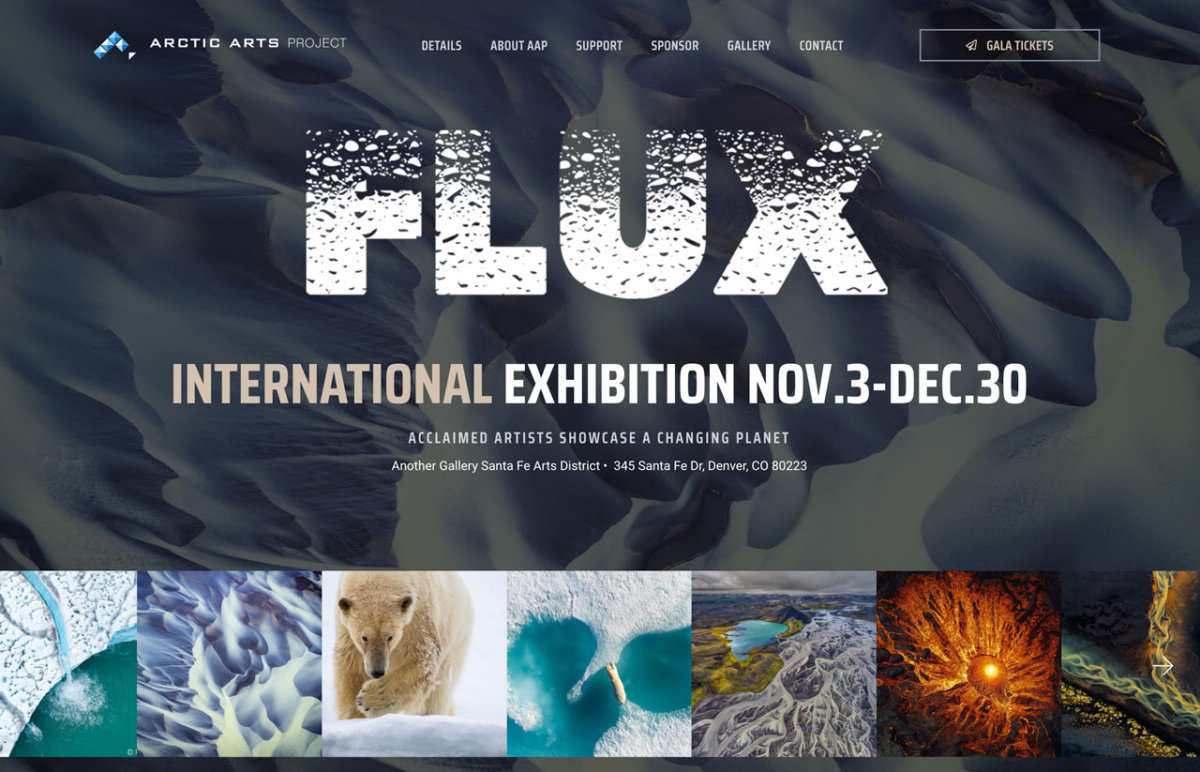 FLUX International Exhibition - Arctic Arts Project